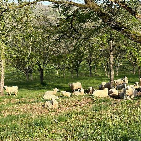 Domaine La Noyeraie Perigord Noir Villa Paulin Buitenkant foto